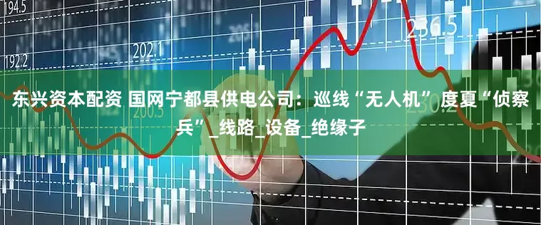 东兴资本配资 国网宁都县供电公司：巡线“无人机” 度夏“侦察兵”_线路_设备_绝缘子