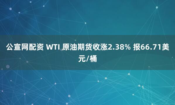 公宣网配资 WTI 原油期货收涨2.38% 报66.71美元/桶