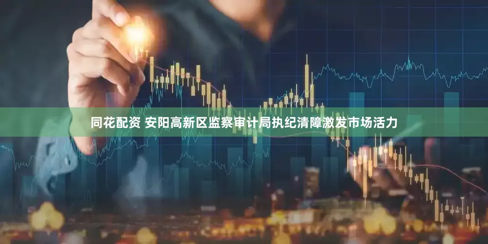 同花配资 安阳高新区监察审计局执纪清障激发市场活力