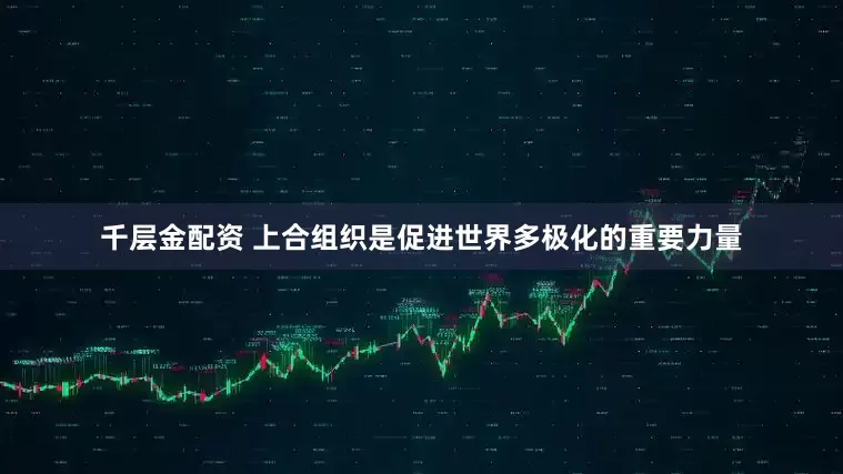 千层金配资 上合组织是促进世界多极化的重要力量