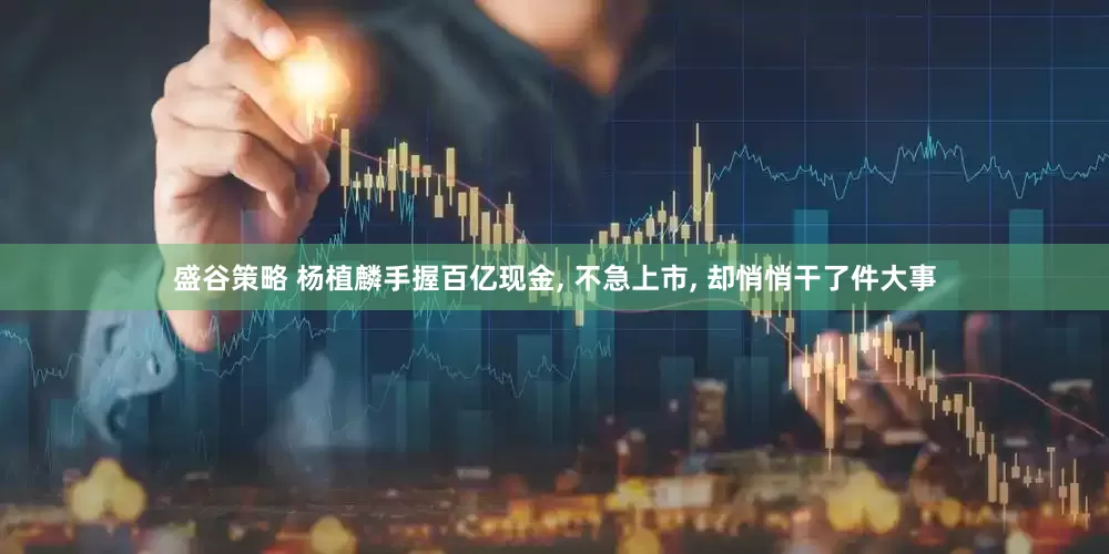 盛谷策略 杨植麟手握百亿现金, 不急上市, 却悄悄干了件大事