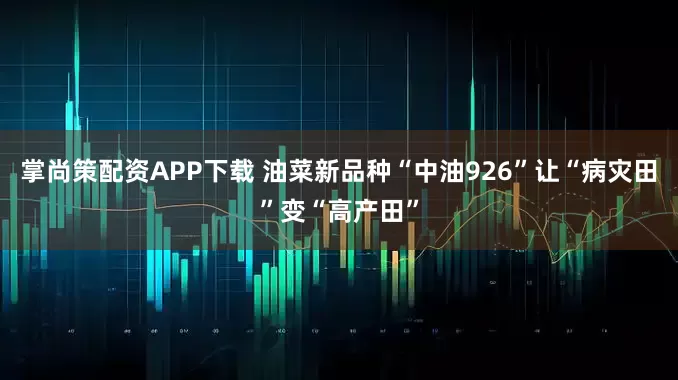 掌尚策配资APP下载 油菜新品种“中油926”让“病灾田”变“高产田”